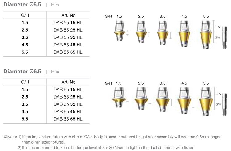 Dual Abutment